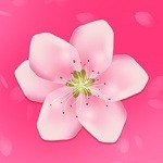 樱花影视下载安装