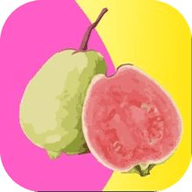 樱樱视频安装包免费下载