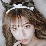 糟老头旧版本免费下载