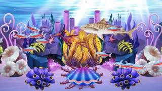 鱼乐园闲置水族馆Fish Paradise5