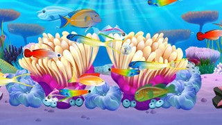 鱼乐园闲置水族馆Fish Paradise1